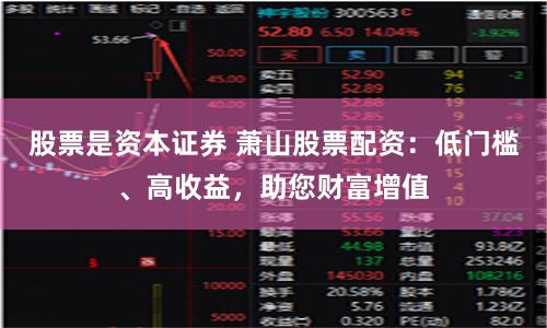 股票是资本证券 萧山股票配资：低门槛、高收益，助您财富增值