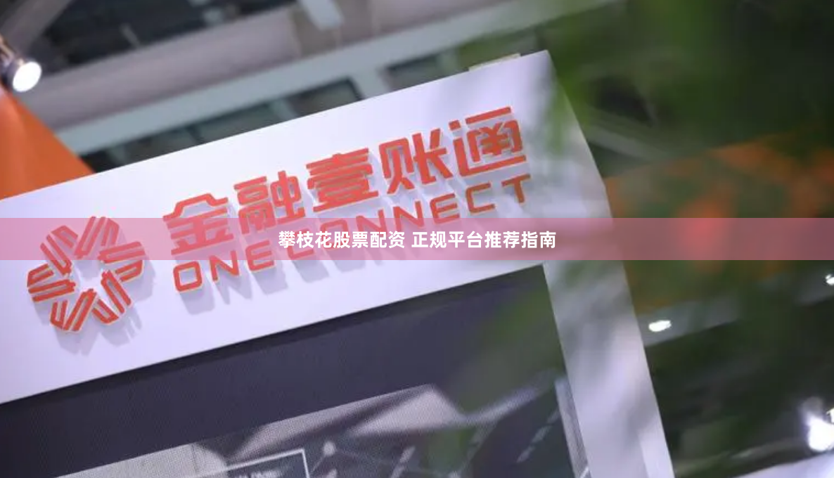 攀枝花股票配资 正规平台推荐指南