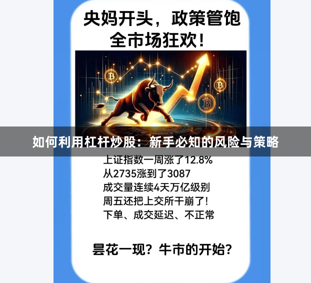 如何利用杠杆炒股：新手必知的风险与策略